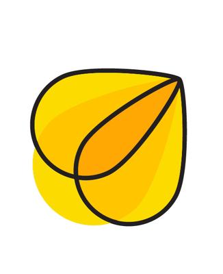 Vested Risk Strategies