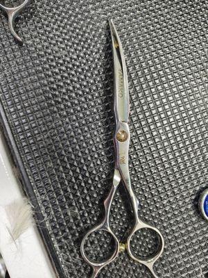 I am looking for this particular scissors anybody know where I can get these