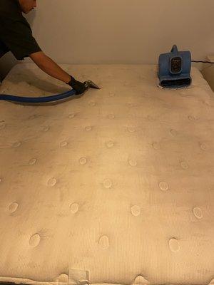 First Class Green Cleaning