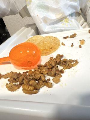 My banks loves his chicken taco. Very delicious