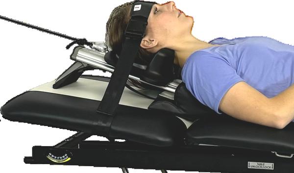 Austin Disc and Spine