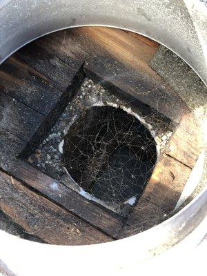 T and G Group Pest Control