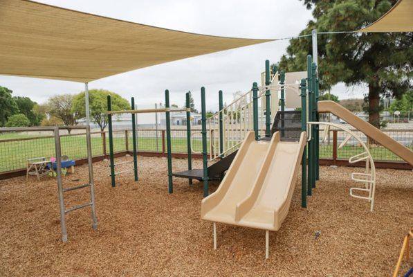 The Little Tree PlaySchool