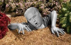 Guaranteed Auto Express