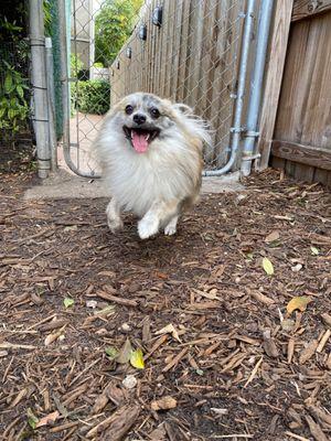 The Ohana Pet Resort