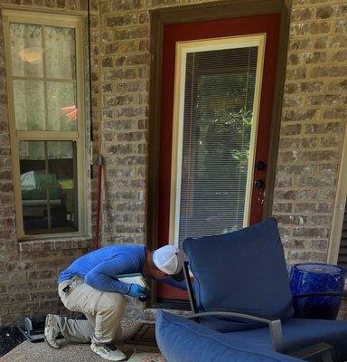 Tiger Town Pest Solutions