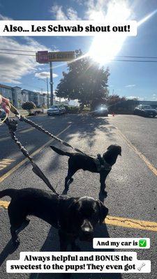 Les Schwab Tire Center