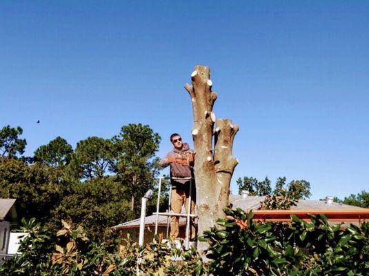 HJC Property Maintenance