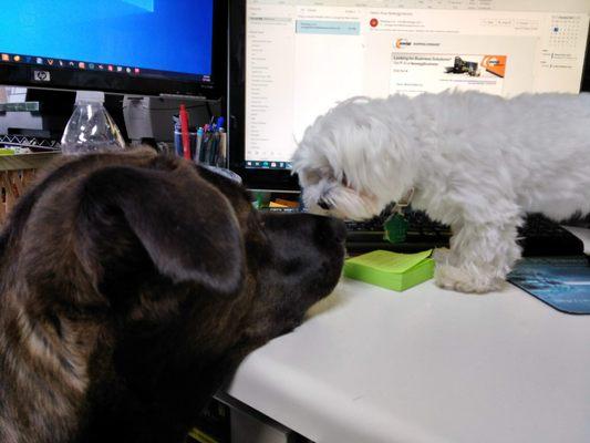 Delaware PC Services, LLC