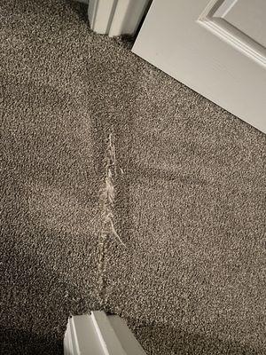 New Finish Carpet Care