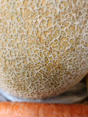 Mushy cantaloupe Food max