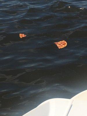 Shitty pizza floating in the river