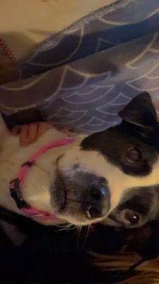 La Mentada Chihuahua’s Food