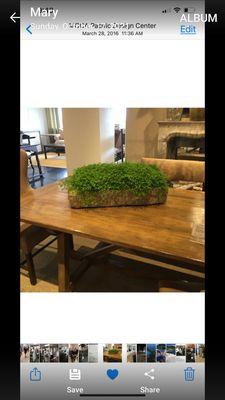 Laguna Flower Company