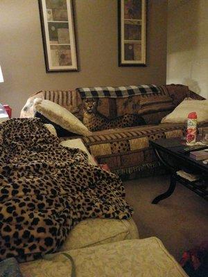 Quail Ridge East Apartments