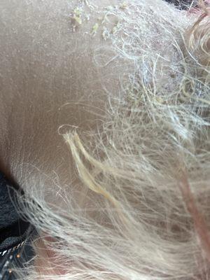 This product burned my scalp to a second-degree chemical burn and the employee they wrote down everything to do step-by-step