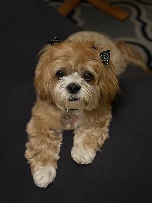 Thanks John and Trisha for making me beautiful