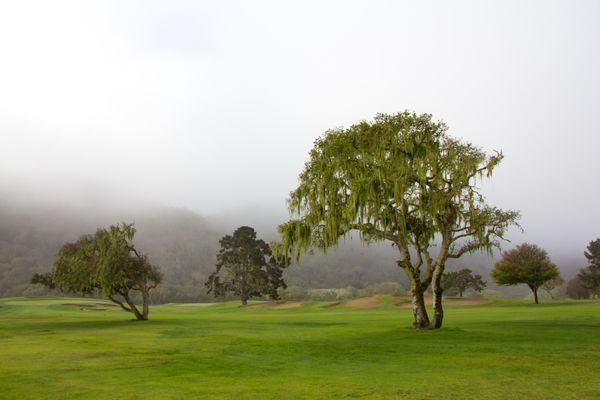 Laguna Seca Golf Ranch