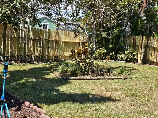 Marvellitos Tree Services