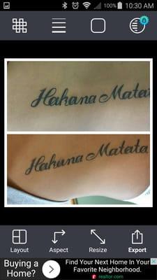 Changed her hakana to hakuna. We edged it in more after this picture was taken. Havent seen her yet to get another photo.