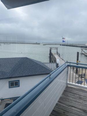 Dolphin Swimming & Boating Club