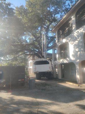 White's Tree Service