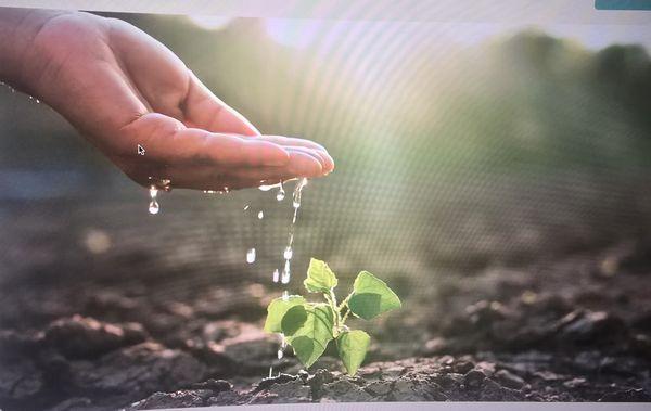 Let's help to water your growth