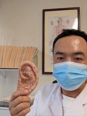 Magic Ear point can treat over 30 illness!