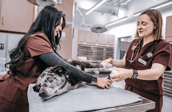 The Ranch Veterinary Hospital