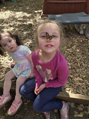 Lisa's Little Learning Friends