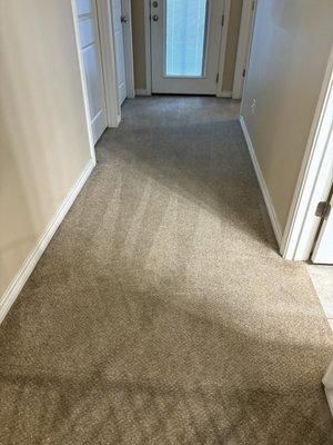 New dawn floor and upholstery cleaning services