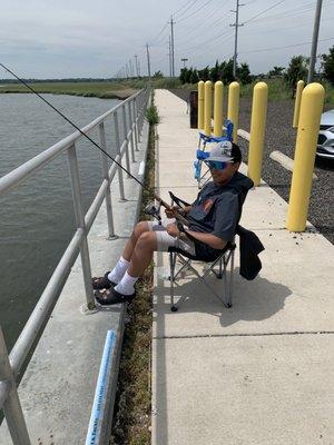 Red Dog Bait & Tackle