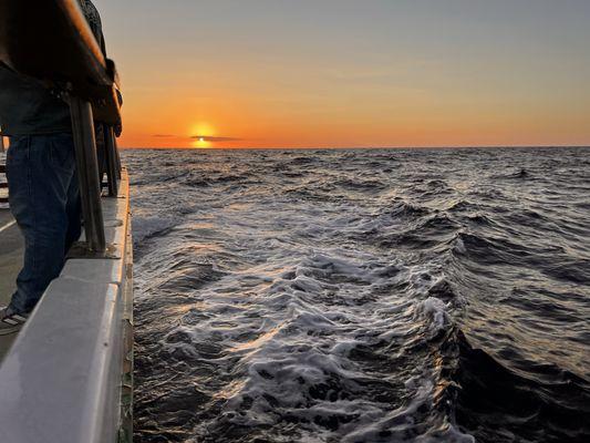 Daiwa Pacific Sport Fishing Charter