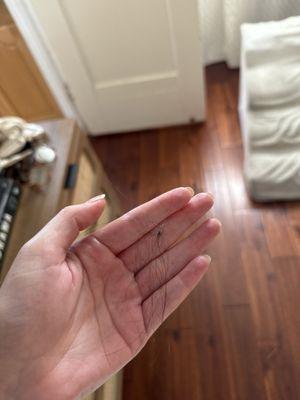 The knot that was left in my hair that I had to pull out