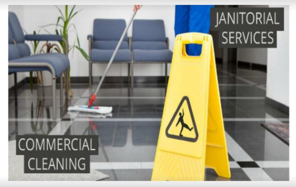 Blue Bunny Cleaning Services