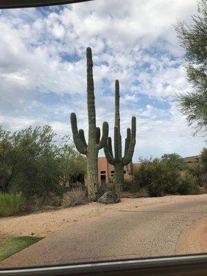 Resort Golf At Legend Trail