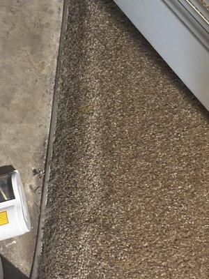 carpet example of where I haven't cleaned to what's been cleaned