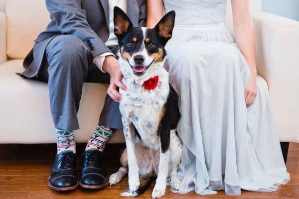The Bendora Wedding Gallery