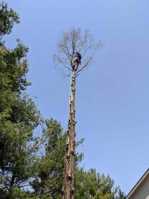 Brighter Outlook Property Management