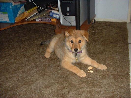 Attention To D'tails