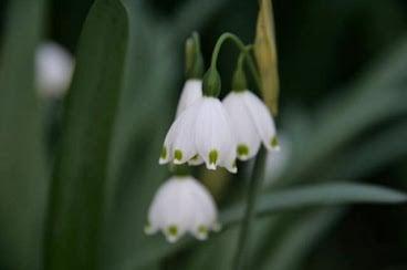 Serve Orange County, CA since 1987.