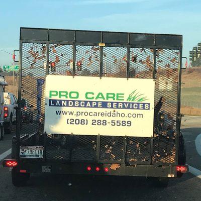 Pro Care Landscape Services
