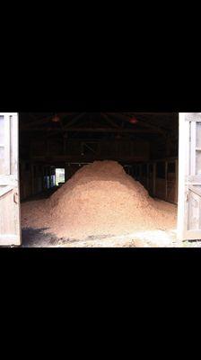 NW Dry Shavings