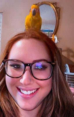 Brenda's Birds