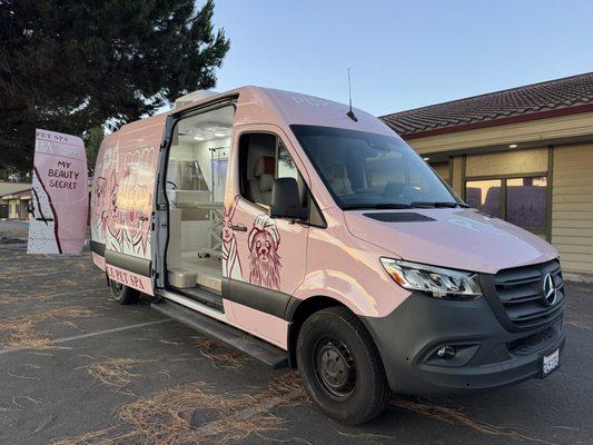 Pet Grooming van conversion
