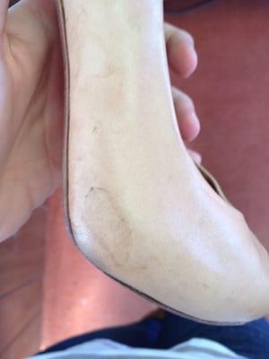 Erlich's Quality Shoe Repair & Dyeing