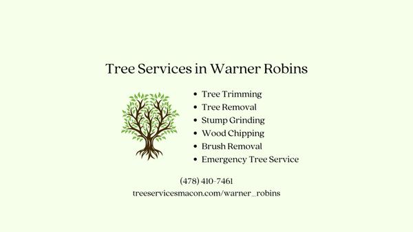 Tree Services of Warner Robins Services