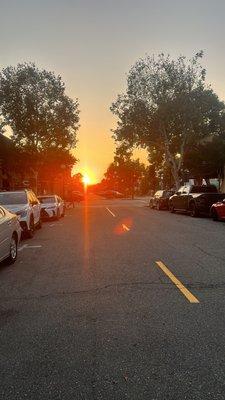 Ferchava CR Transportation