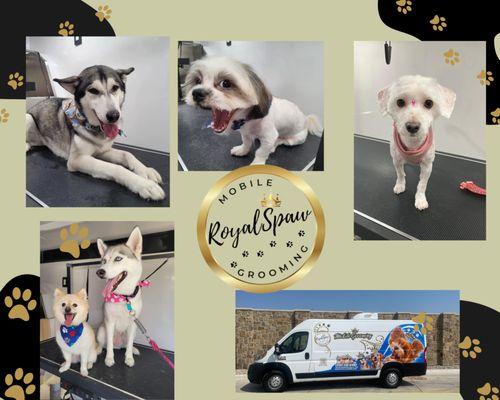 Royal Spaw Mobile Grooming
