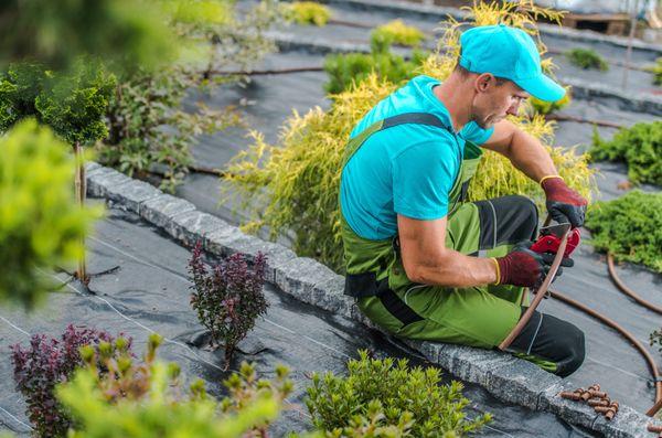 Eagle Lawn Care Services